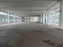 Woodlands Spectrum (D25), Factory #639395011